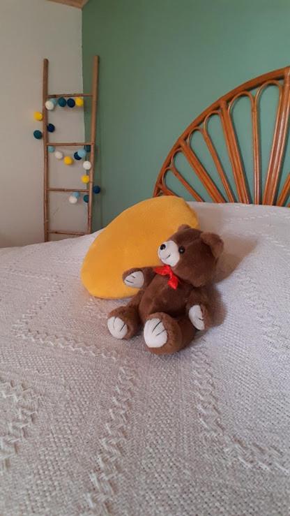 Hébergement de vacances Maison Renove En Pierre *